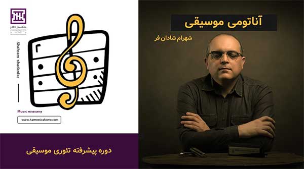 آناتومی موسیقی